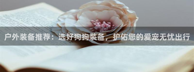 新宝gg官方注册找上级
