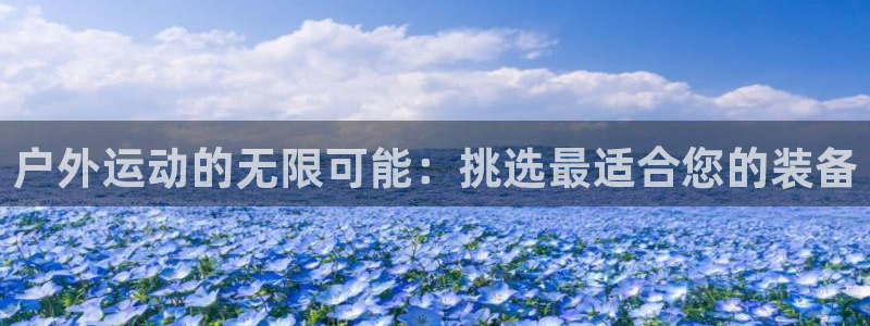 广东新宝电器gg