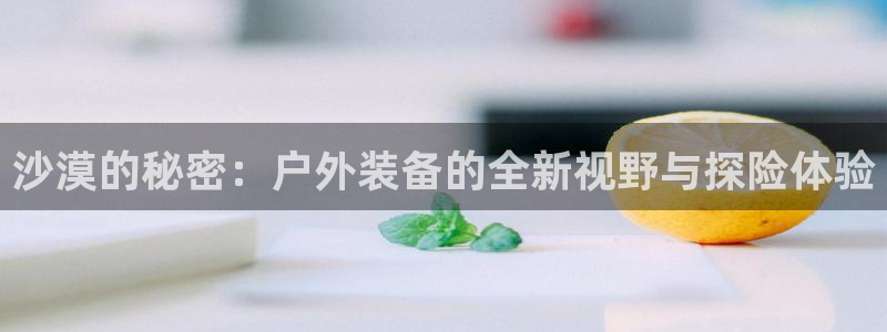 新宝gg登录宝