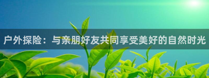 新宝gg如何注册