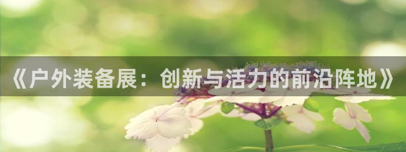 新宝gg创