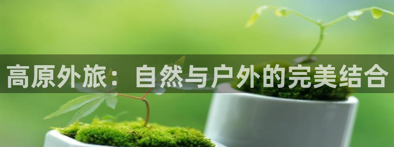 新宝gg违法