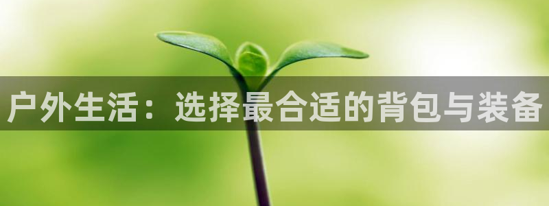 新宝gg怎样