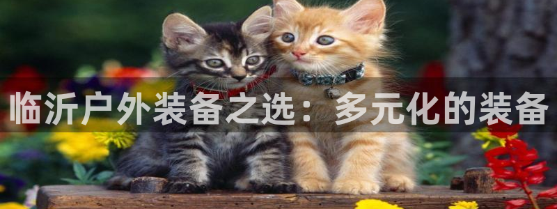 新宝 gg 登录注册