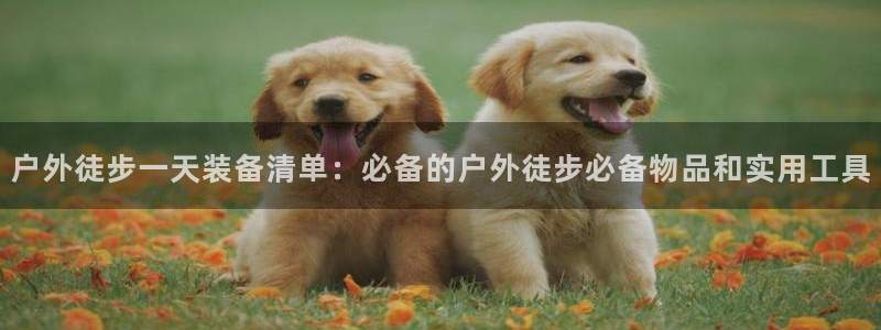 新宝gg总管