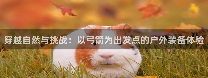 新宝gg靠谱吗