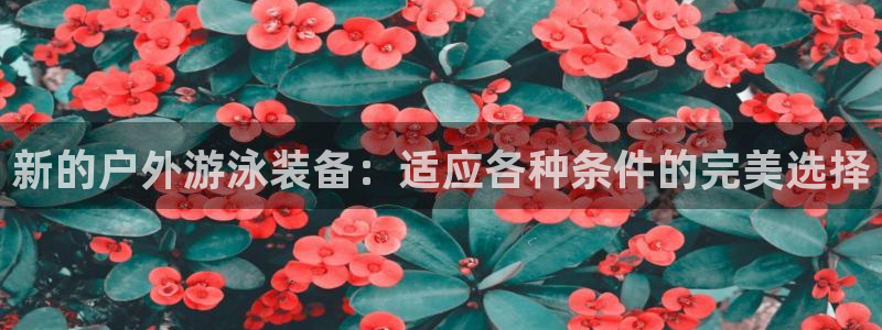 新宝gg娱乐平台