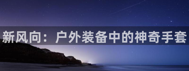 新宝gg总管