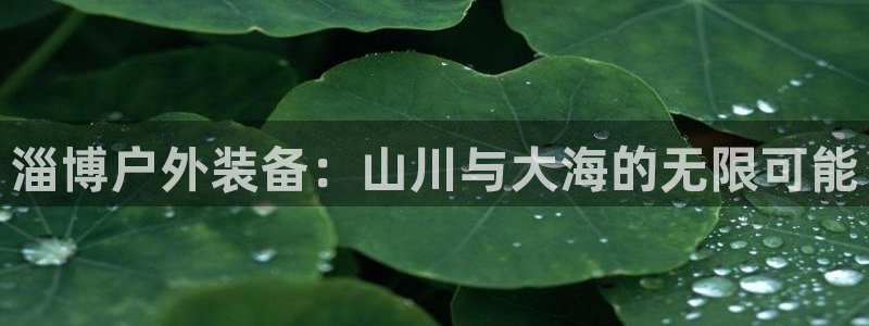 新宝gg盈亏