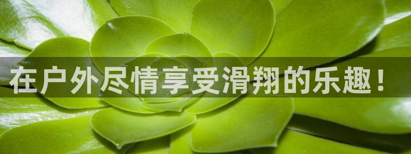 新宝奇迹GG