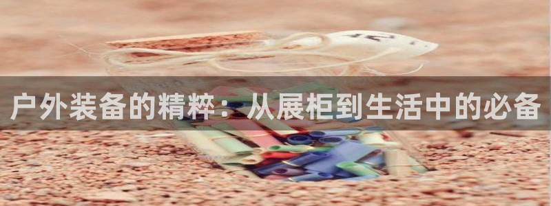 新宝哥gg