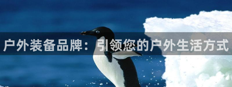 新宝gg龙腾