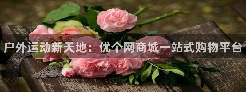 新宝gg怎样代理