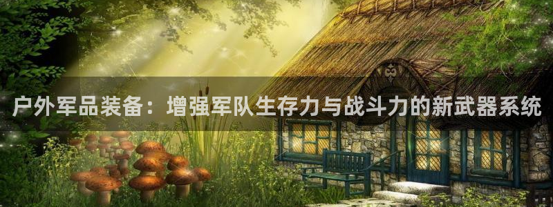 新宝gg__