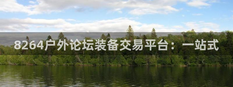 新宝GG用哪个网址登录