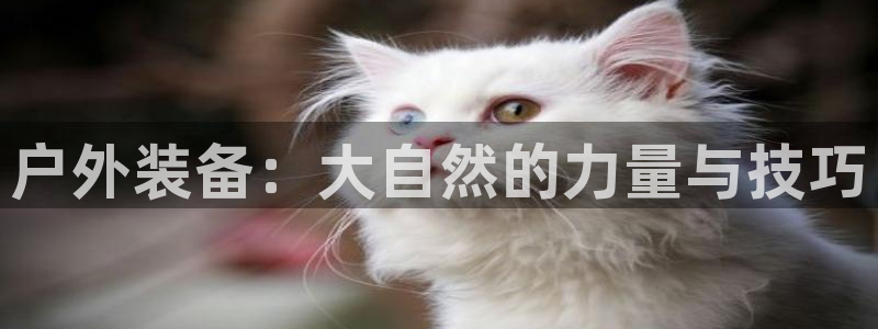 新宝gg扣钱