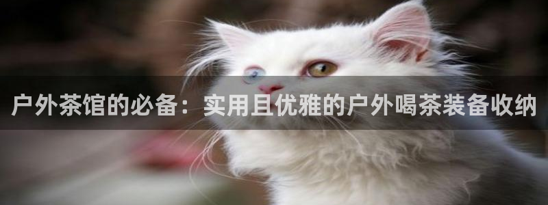 新宝gg违法