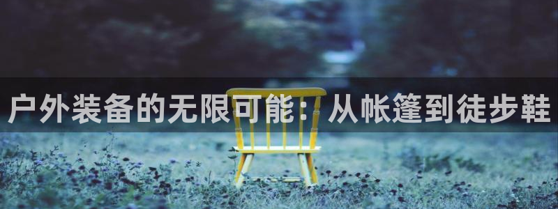 新宝gg怎样代理