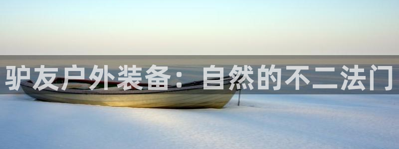 新宝gg娱乐平台