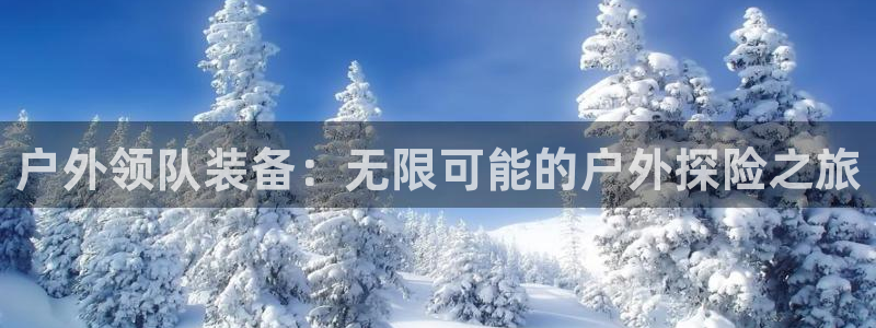新宝gg专线