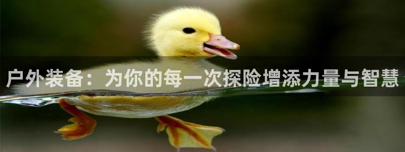 新宝gg 主管