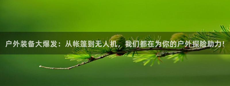 新宝gg怎样
