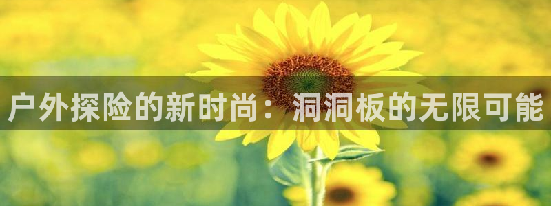 新宝gg主页