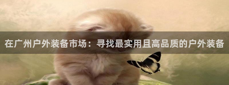 新宝GG苹果版
