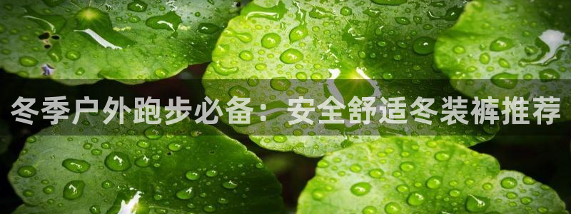 新宝gg龙虎