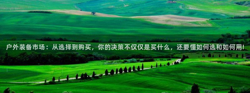 新宝gg官方主管