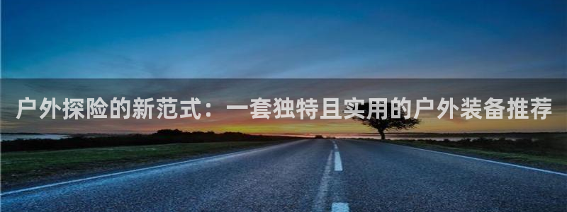 新宝GG上级