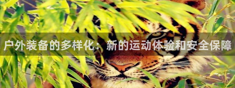 l新宝gg