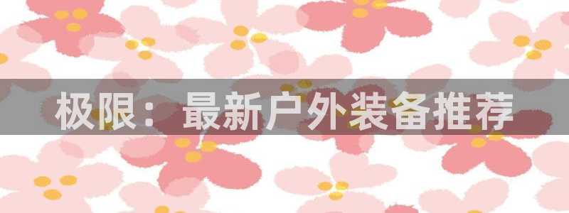 新宝gg工资