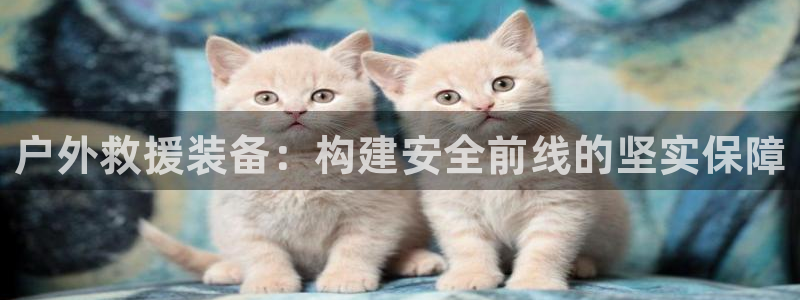 新宝gg平台怎么样
