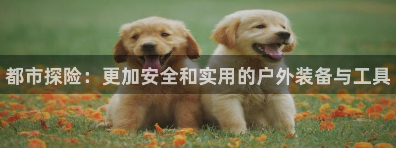 下载新宝gg怎么下载