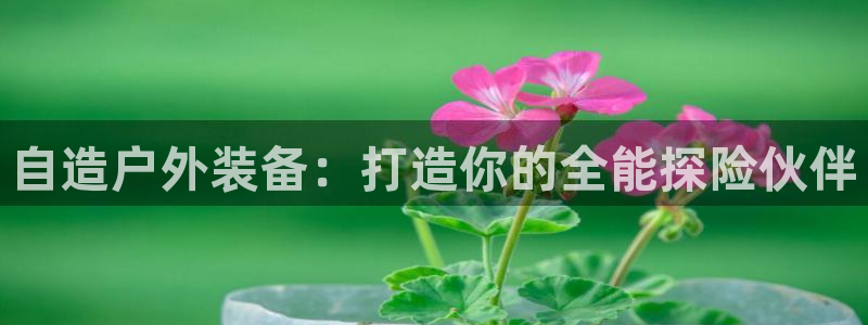 新宝gg评论