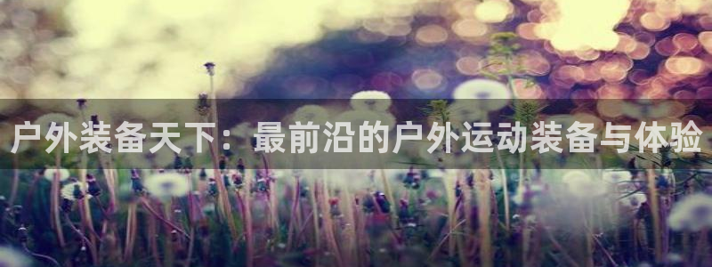 【新宝gg】
