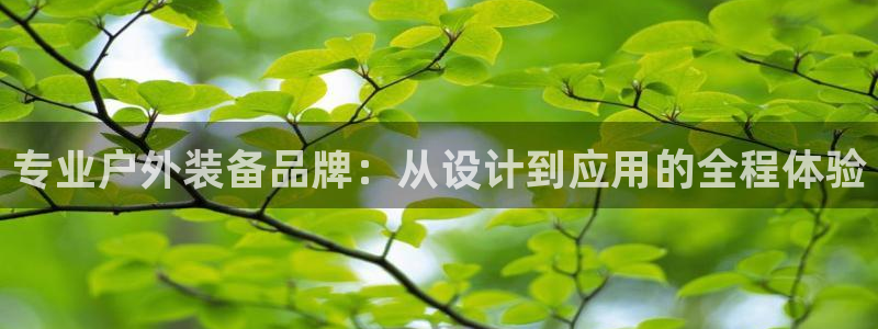 新宝gg 登陆