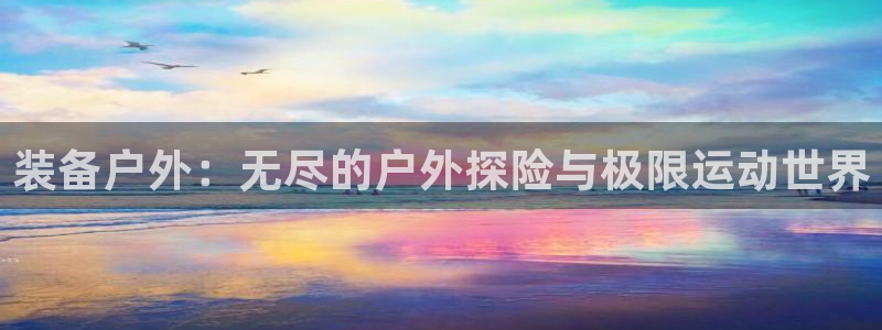 新宝gg平台开发