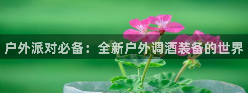 新宝GG链接
