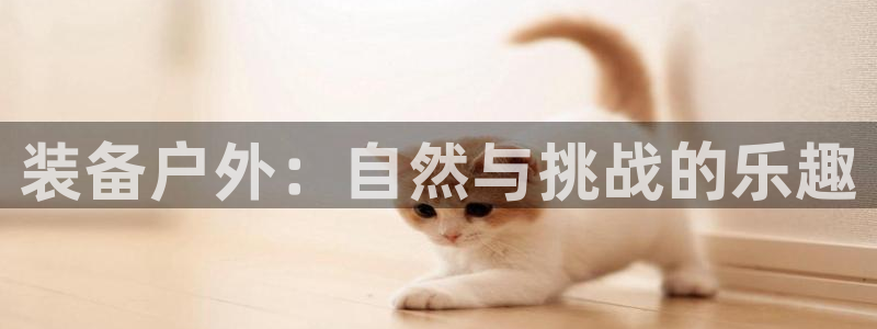 新宝GG 黑钱