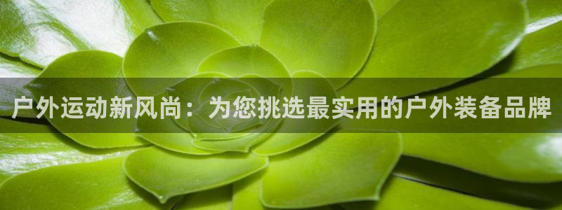 新宝GG创业奇迹
