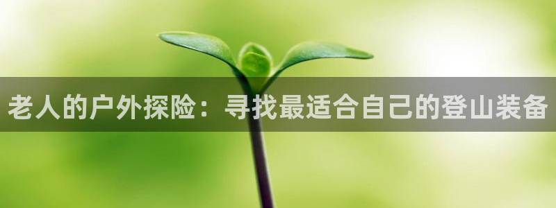 新宝gg成立