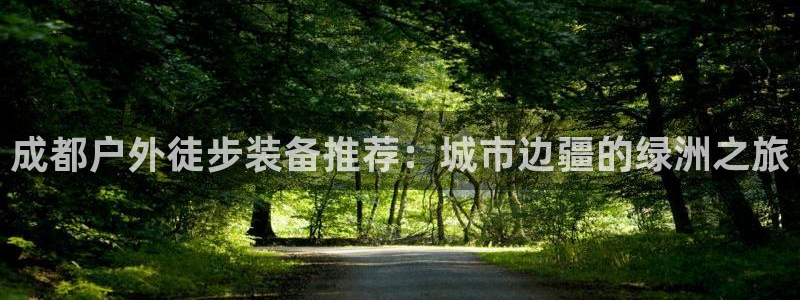 新宝gg创造奇迹平台