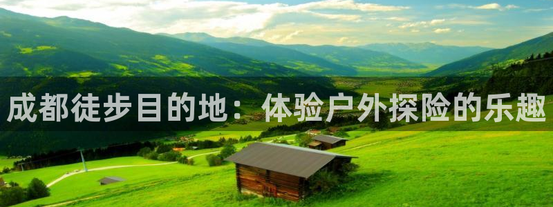 新宝GG冰冰