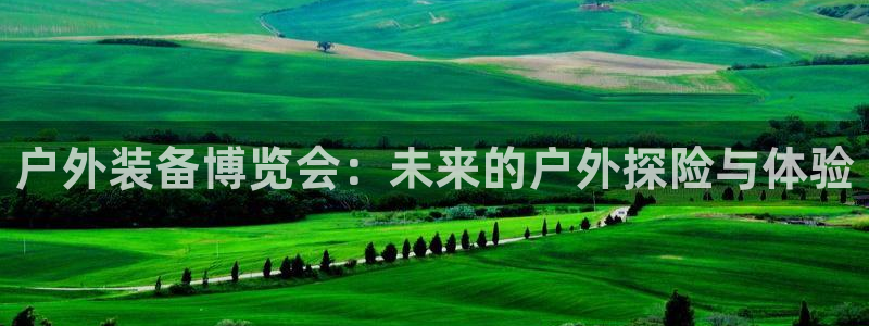 新宝 gg 登录注册