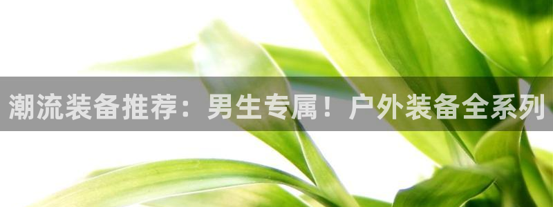 新宝gg奇迹