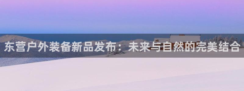 新宝gg挚243553