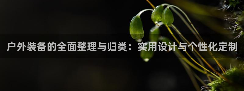 新宝gg平台