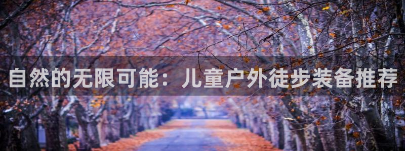 新宝gg — 创造!